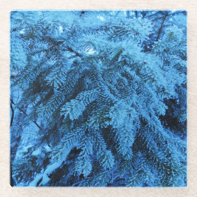 Spruce branches covered with snow & frost crystals glass coaster (Front)