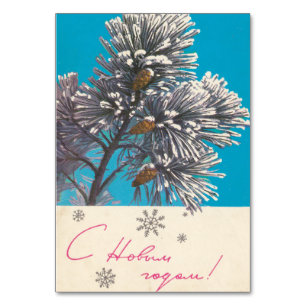 Spruce branches with ice table number