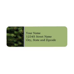 Spruce Tree with Green Background Return Address Label