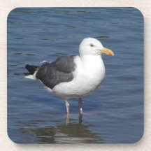 Spunky Wading Seagull Coaster