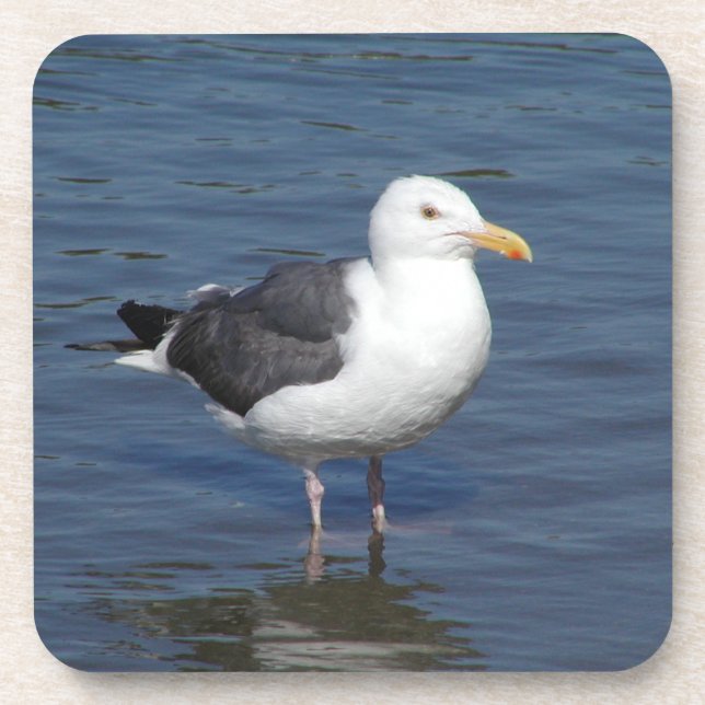 Spunky Wading Seagull Coaster (Front)