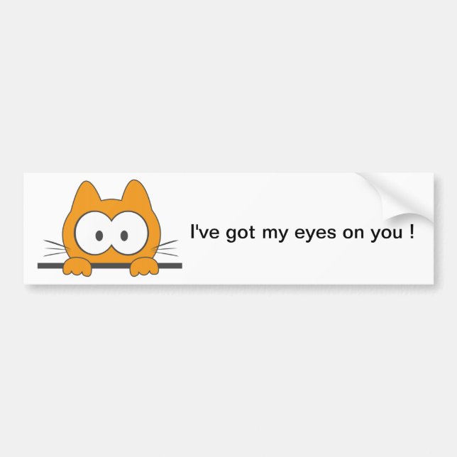 Spy cat bumper sticker (Front)