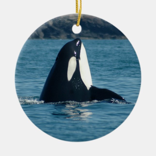 Spyhop Ornament (Front)