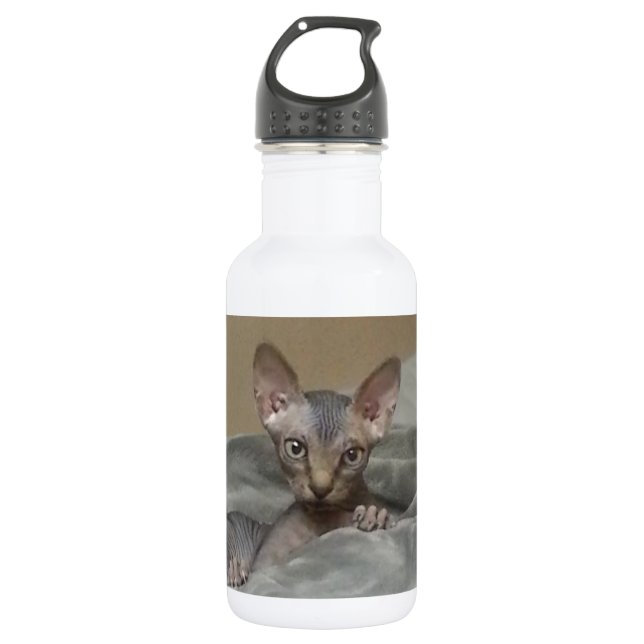 Spynx kitten 532 ml water bottle (Front)