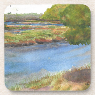squamscott river at newfields july 31 2015 coaster