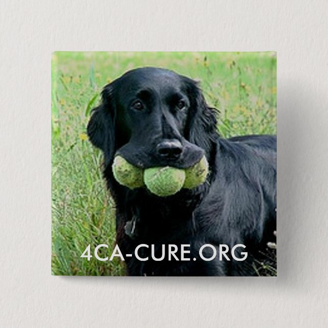 Square Button (Front)