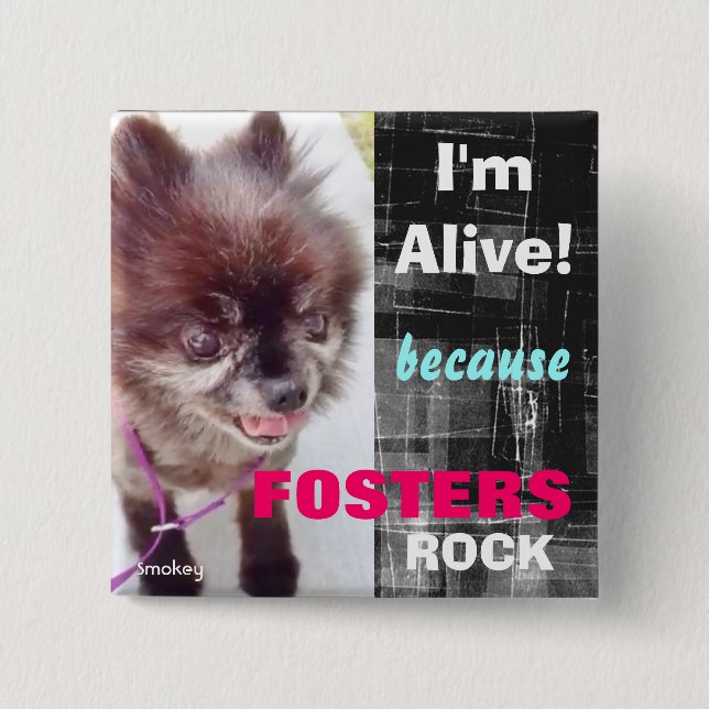 Square Button - Fosters Rock! (Front)