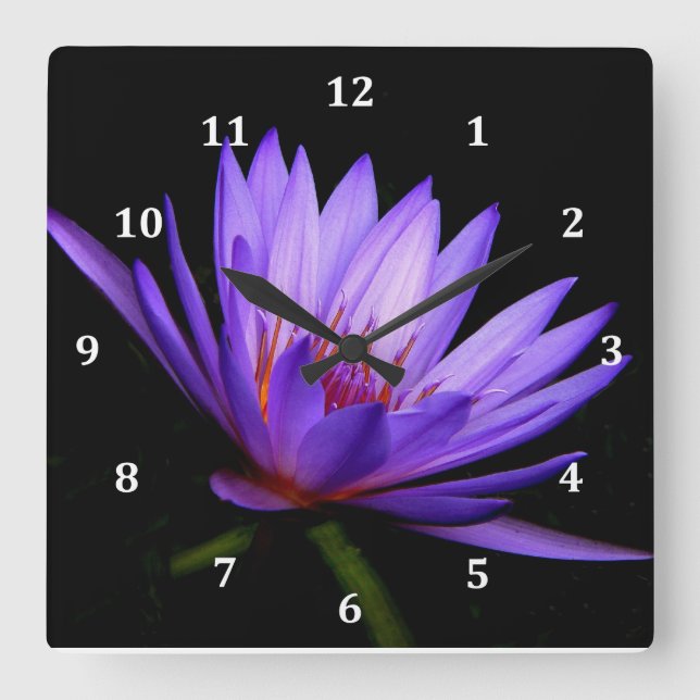 Square Clock, Dark Side of the Purple Water Lily Wall Clock (Front)