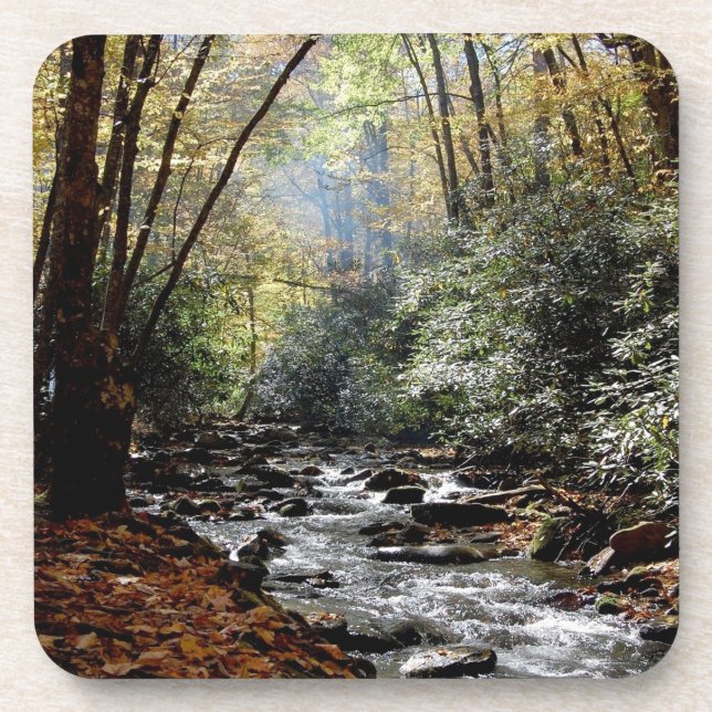 Square Coaster - Bunches Creek 2 (Front)
