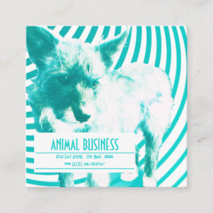 square crazy hazie pet appointment reminder card