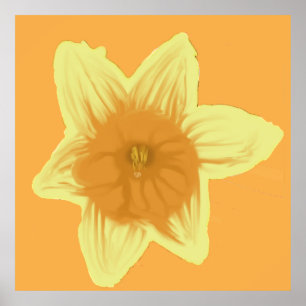 Square Daffodil Poster