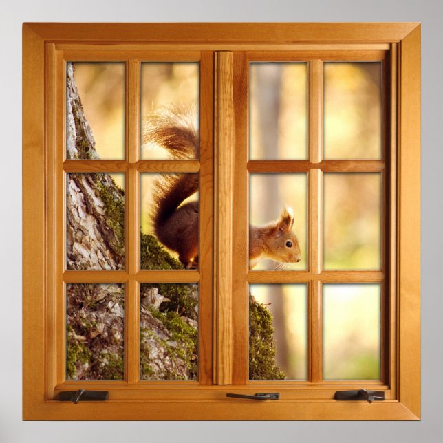 Square Faux Window Illusion - Squirrel Poster (Front)