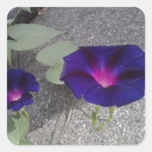 Square Glossy Floral Sticker