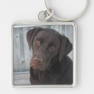 Square Keychain - Chocolate Lab