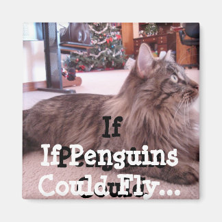 Square Magnet
