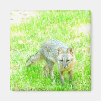 Square Magnet - Customised