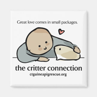 Square magnet with colour logo and website