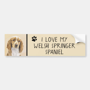square (name) bumper sticker