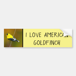 square (name) bumper sticker