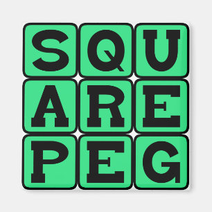 Square Peg in a Round Hole Magnet