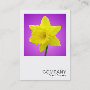 Square Photo 012 - Daffodil Business Card