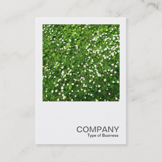 Square Photo 0136 - Daisy Lawn Business Card (Front)