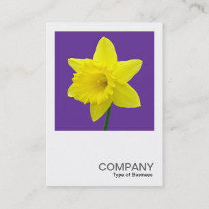 Square Photo 014 - Daffodil Business Card