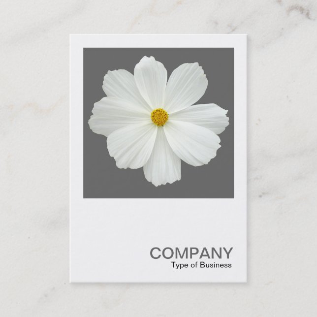 Square Photo 0162 - Cosmos Flower on Grey Business Card (Front)