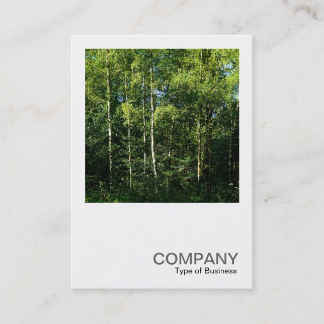 Square Photo 0168 - Silver Birch Trees Business Card (Front)
