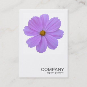 Square Photo 0171 - Purple Cosmos Flower Business Card