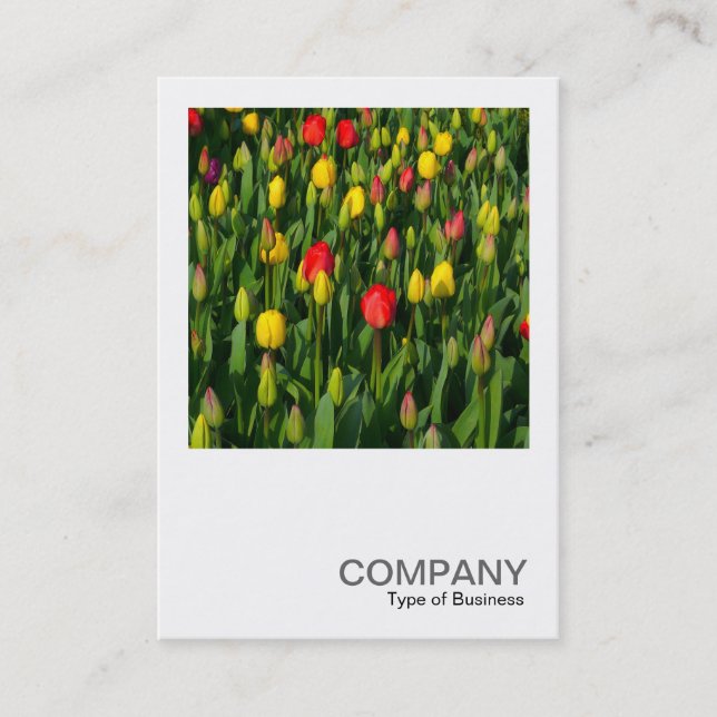 Square Photo 0202 - Colourful Tulips Business Card (Front)