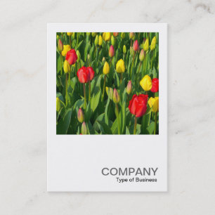 Square Photo 0203 - Colourful Tulips II Business Card
