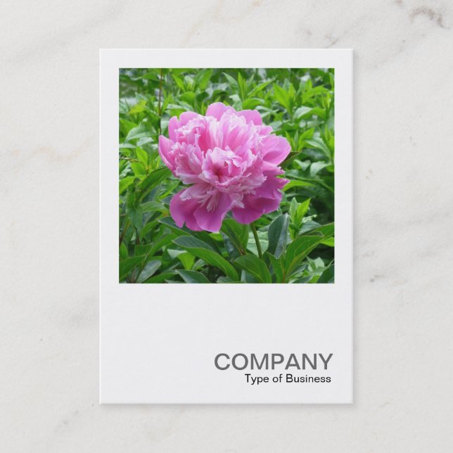 Square Photo 0234 - Pink Peony Business Card (Front)
