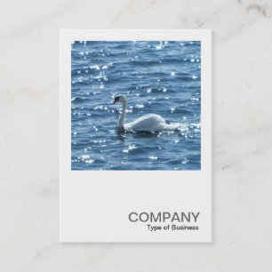Square Photo 0242 - Swan Business Card