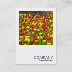 Square Photo 0317 - Sea of Tulips Business Card