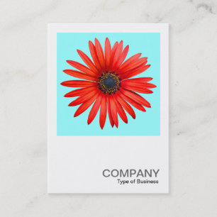 Square Photo 0344 - Red Devil on Ice Blue Business Card