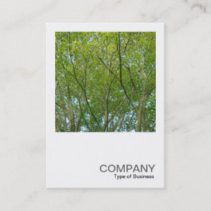 Square Photo 0348 - Japanese Maple Business Card
