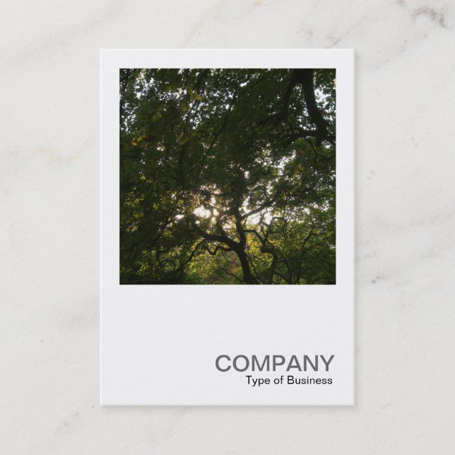 Square Photo 0375 - Japanese Branches Business Card (Front)