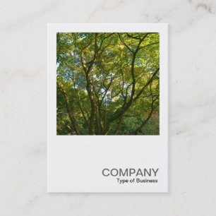 Square Photo 0376 - Japanese Branches Business Card
