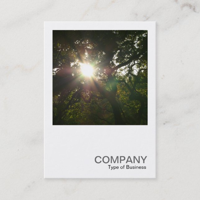 Square Photo 0377 - Japanese Branches Business Card (Front)