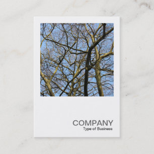 Square Photo 0384 - Branches Business Card