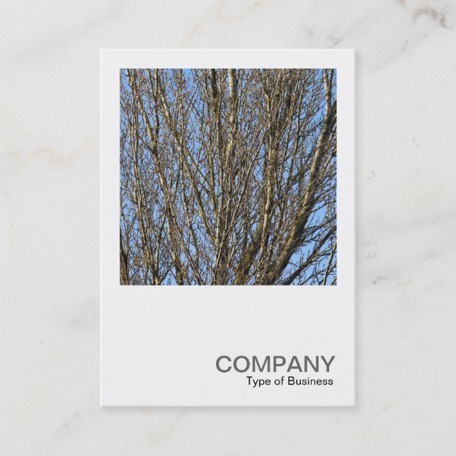 Square Photo 0385 - Sunlit Branches Business Card (Front)