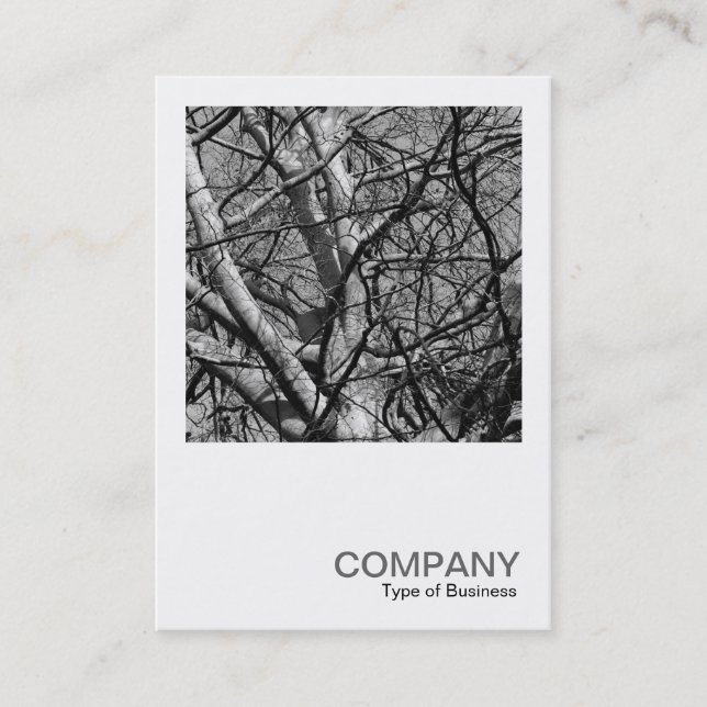 Square Photo 0387 - Branches (B&W) Business Card (Front)