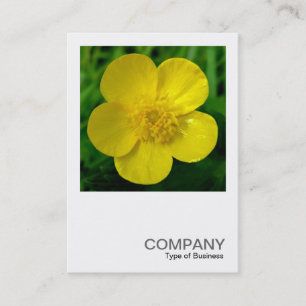 Square Photo 03 - Buttercup Business Card