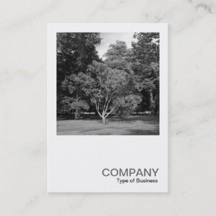 Square Photo 0413 - Trees, Bute Park, Cardiff Business Card