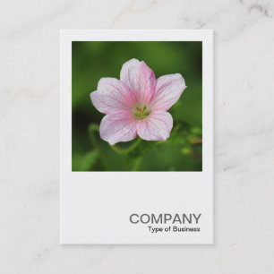 Square Photo 0419 - Geranium Business Card