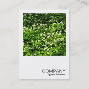 Square Photo 0467 - Wild Garlic Business Card