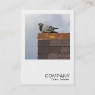 Square Photo 0499 - Good Morning Pigeon Business Card