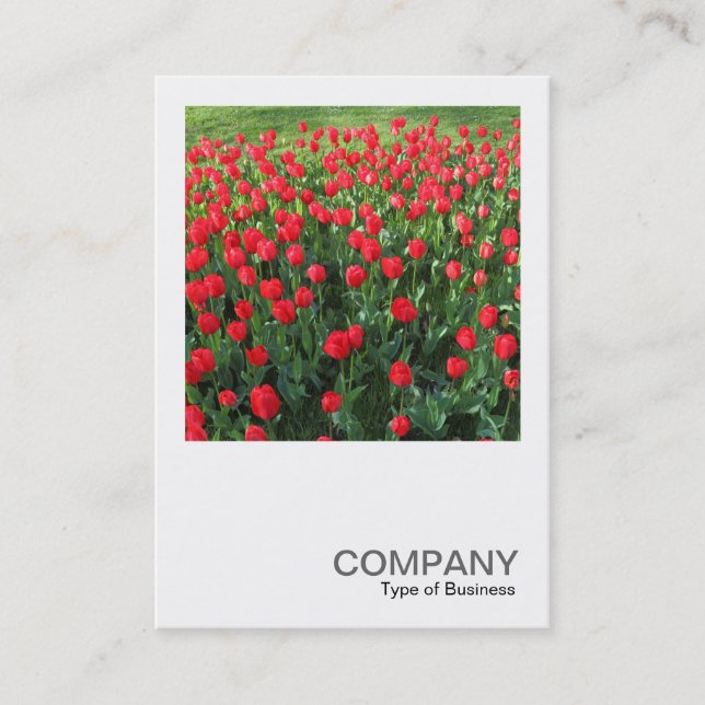 Square Photo 0510 - Bed of Red Tulips 01 Business Card (Front)