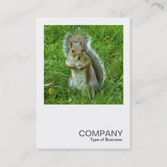 Square Photo 0553 - Startled Grey Squirrel Business Card (Front)